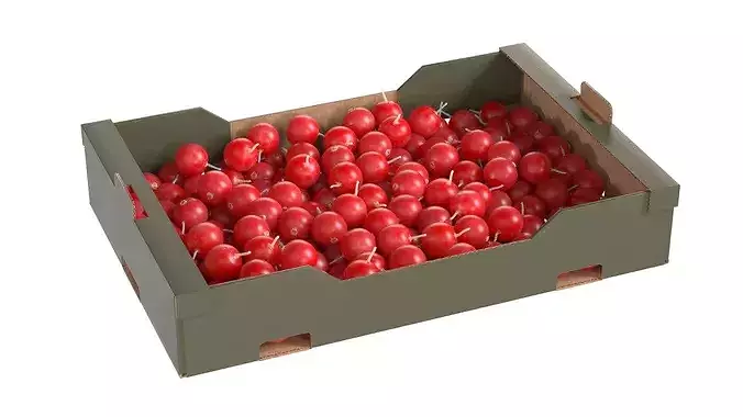 Cranberry Cardboard Fruit Box Low-poly 3D model