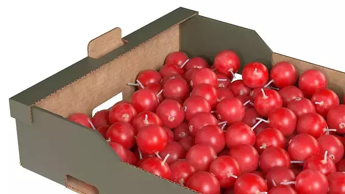 Cranberry Cardboard Fruit Box Low-poly 3D model 4