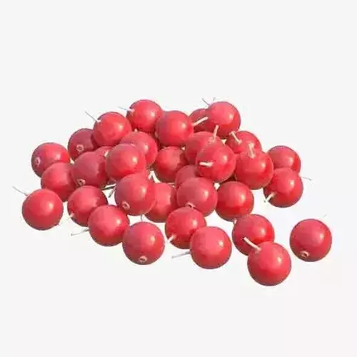 Cranberry Fruit Low-poly 3D model 6