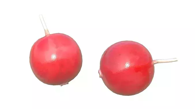 Cranberry Fruit Low-poly 3D model 5