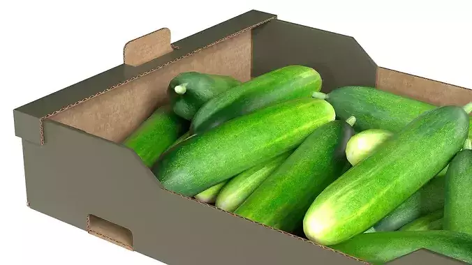 Cucumber Cardboard Fruit Box Low-poly 3D model 4