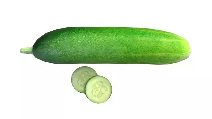 Cucumber Fruit Low-poly 3D model 5