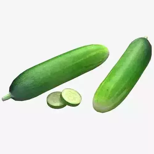 Cucumber Fruit Low-poly 3D model 6