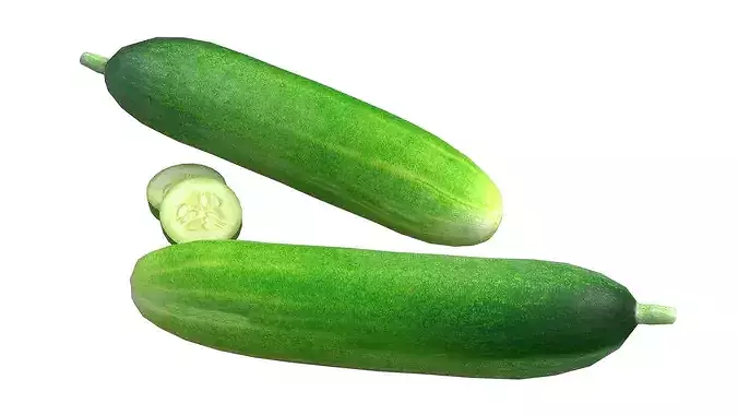 Cucumber Fruit Low-poly 3D model 2