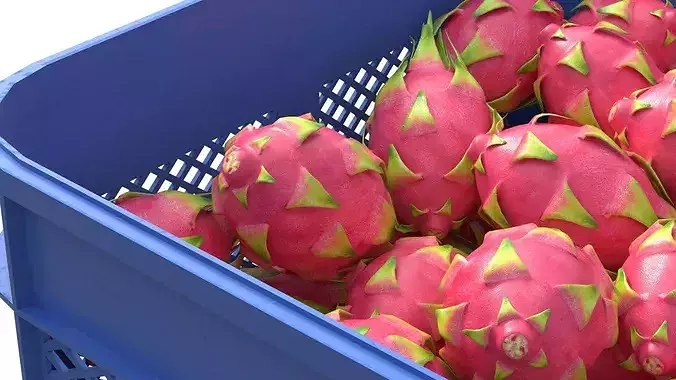 Dragon Fruit Plastic Crate Low-poly 3D model 4