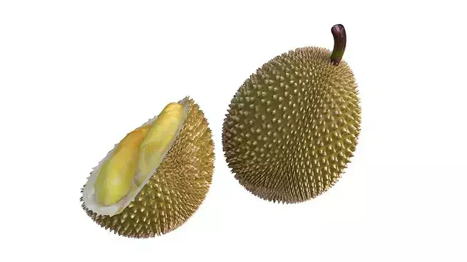 Durian Fruit  Low-poly 3D model 2