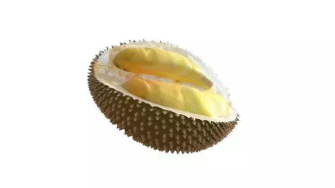 Durian Fruit  Low-poly 3D model 5