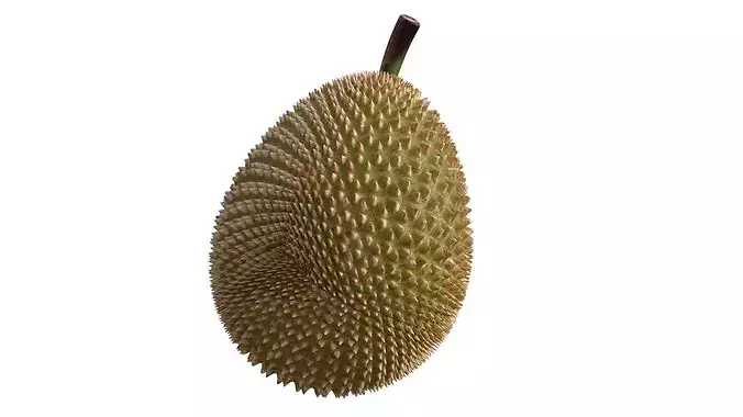 Durian Fruit  Low-poly 3D model 4
