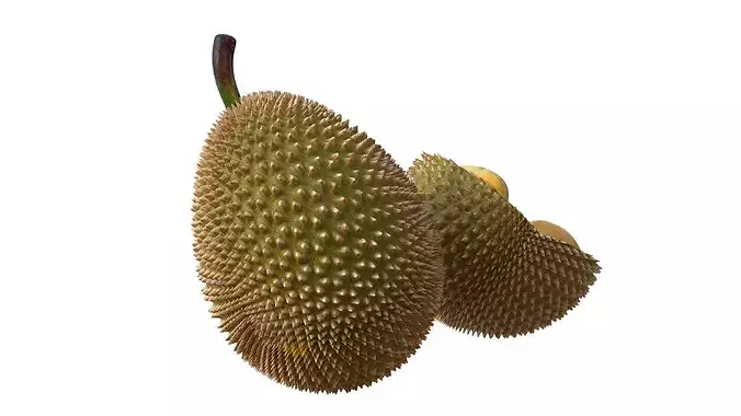 Durian Fruit  Low-poly 3D model 3