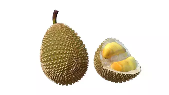 Durian Fruit Low-poly 3D model