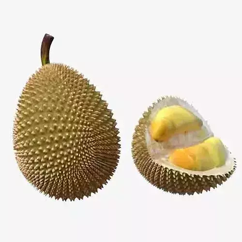 Durian Fruit  Low-poly 3D model 6