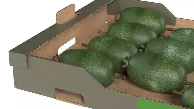 Feijoa Cardboard Fruit Box Low-poly 3D model 4