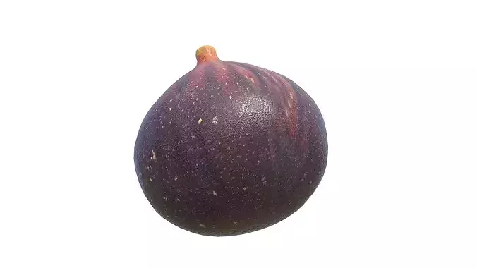 Fig Fruit Low-poly 3D model 4
