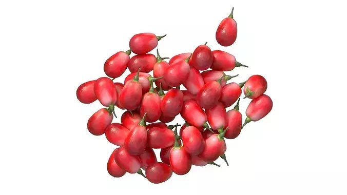Goji berry Fruit Low-poly 3D model 4