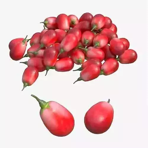 Goji berry Fruit Low-poly 3D model 6