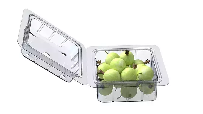 Gooseberry Fruit Box Plastic Transparent Low-poly 3D model 5
