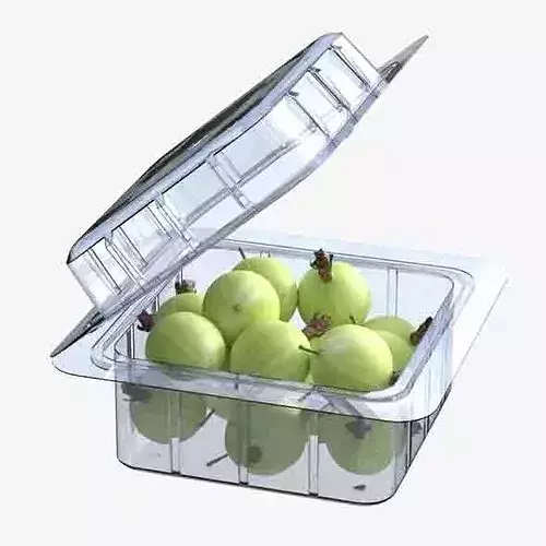 Gooseberry Fruit Box Plastic Transparent Low-poly 3D model 6