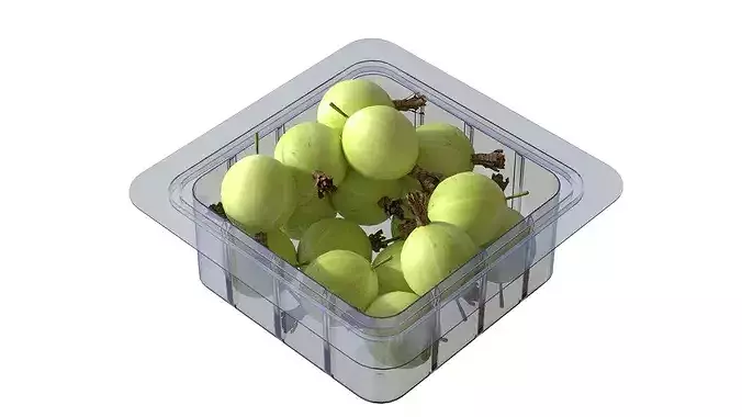 Gooseberry Fruit Box Plastic Transparent Low-poly 3D model 4