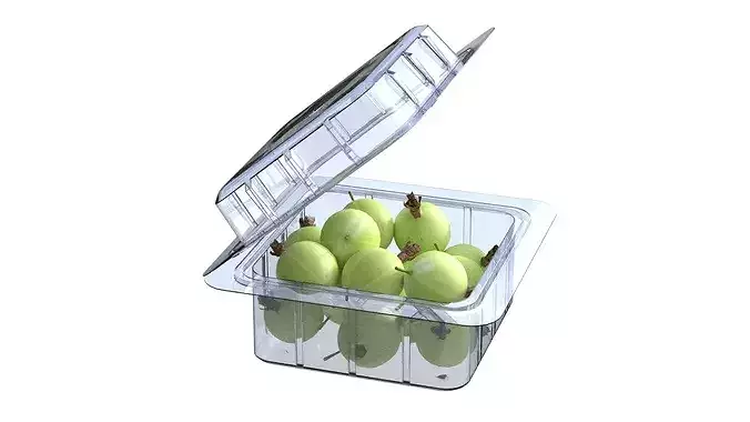 Gooseberry Fruit Box Plastic Transparent Low-poly 3D model