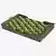 Guava Cardboard Fruit Box Low-poly 3D model 7