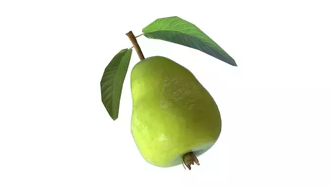 Guava Fruit Low-poly 3D model 5