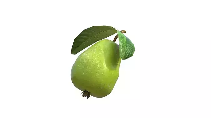 Guava Fruit Low-poly 3D model 4