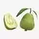 Guava Fruit Low-poly 3D model 7