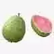 Guava Fruit v2 Low-poly 3D model 7