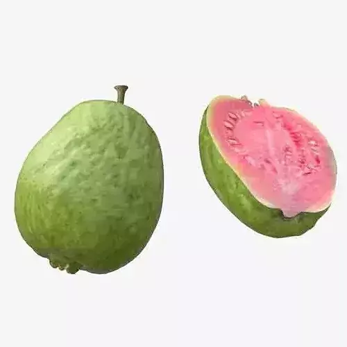 Guava Fruit v2 Low-poly 3D model 6
