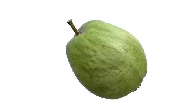 Guava Fruit v2 Low-poly 3D model 4