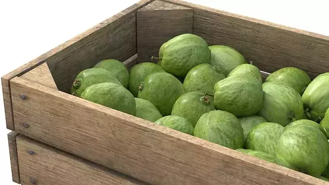 Guava Wooden Crate Low-poly 3D model 4