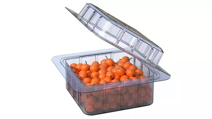 Hippophae Fruit Box Plastic Transparent Low-poly 3D model 2