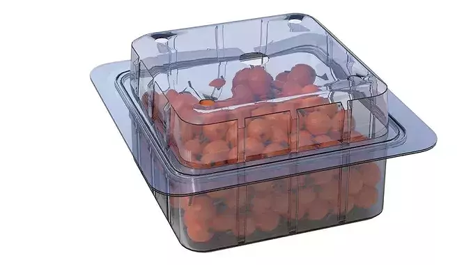 Hippophae Fruit Box Plastic Transparent Low-poly 3D model 4