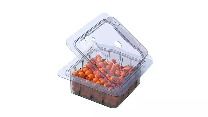 Hippophae Fruit Box Plastic Transparent Low-poly 3D model 3