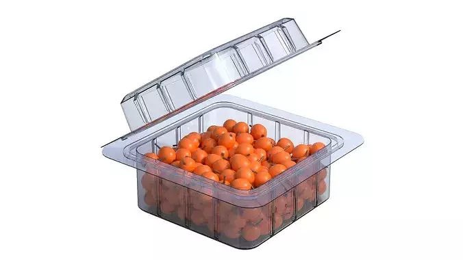 Hippophae Fruit Box Plastic Transparent Low-poly 3D model