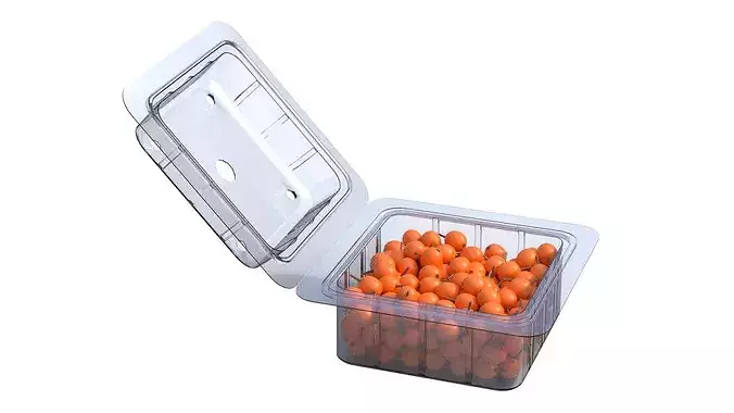 Hippophae Fruit Box Plastic Transparent Low-poly 3D model 5
