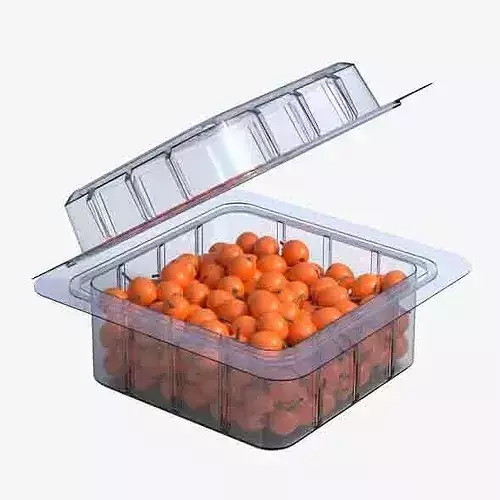 Hippophae Fruit Box Plastic Transparent Low-poly 3D model 6