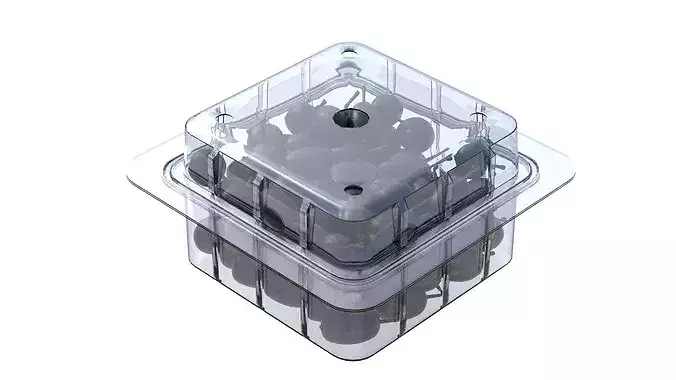 Jambul Fruit Box Plastic Transparent Low-poly 3D model 3