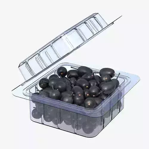 Jambul Fruit Box Plastic Transparent Low-poly 3D model 6