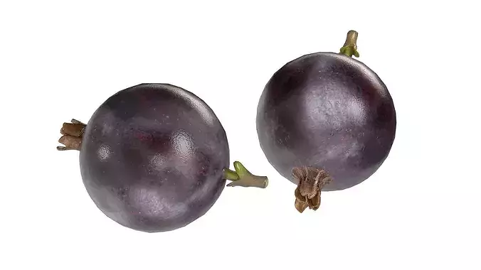 Jostaberry Fruit Low-poly 3D model 2