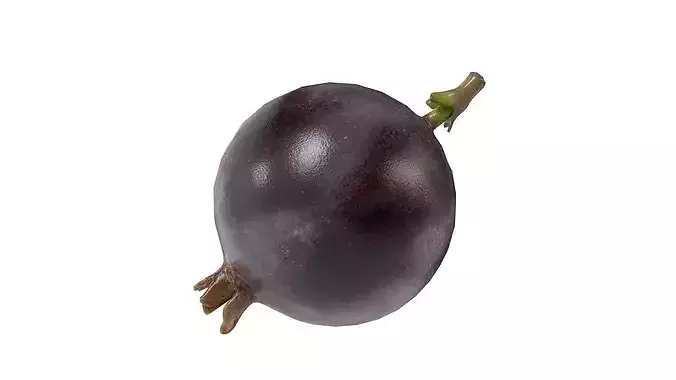 Jostaberry Fruit Low-poly 3D model