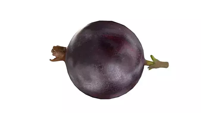 Jostaberry Fruit Low-poly 3D model 5