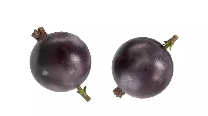 Jostaberry Fruit Low-poly 3D model 4