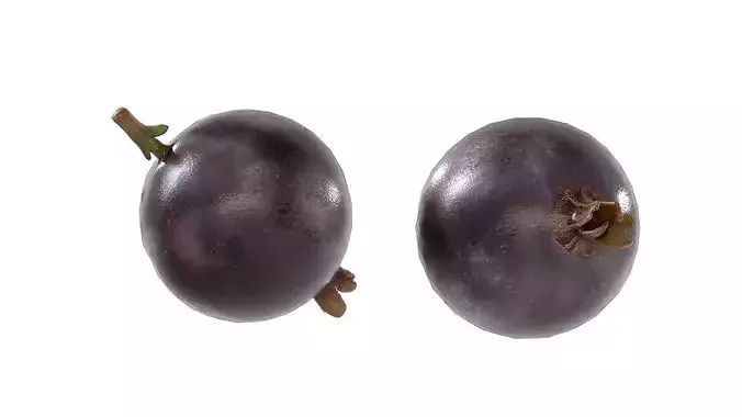 Jostaberry Fruit Low-poly 3D model 3