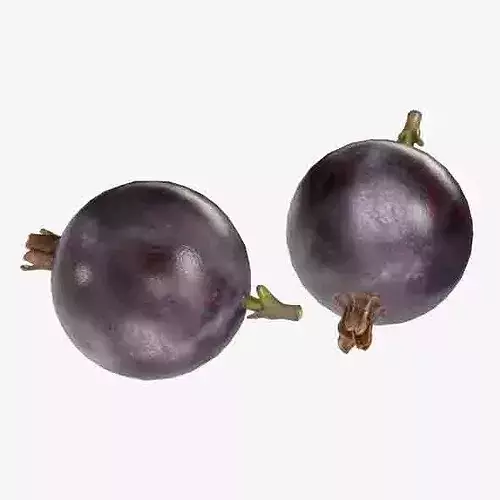 Jostaberry Fruit Low-poly 3D model 6