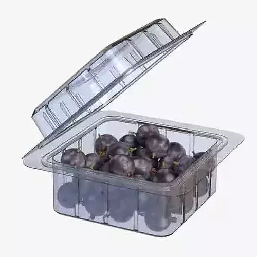 Jostaberry Fruit Box Plastic Transparent Low-poly 3D model 6