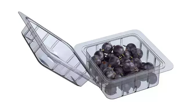 Jostaberry Fruit Box Plastic Transparent Low-poly 3D model 5