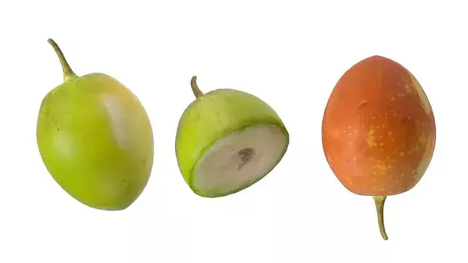 Jujube Fruit Low-poly 3D model 2