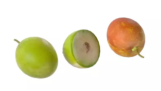 Jujube Fruit Low-poly 3D model