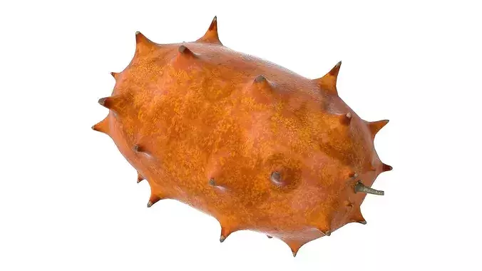 Kiwano Fruit Low-poly 3D model 4